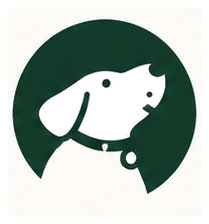 上门接回