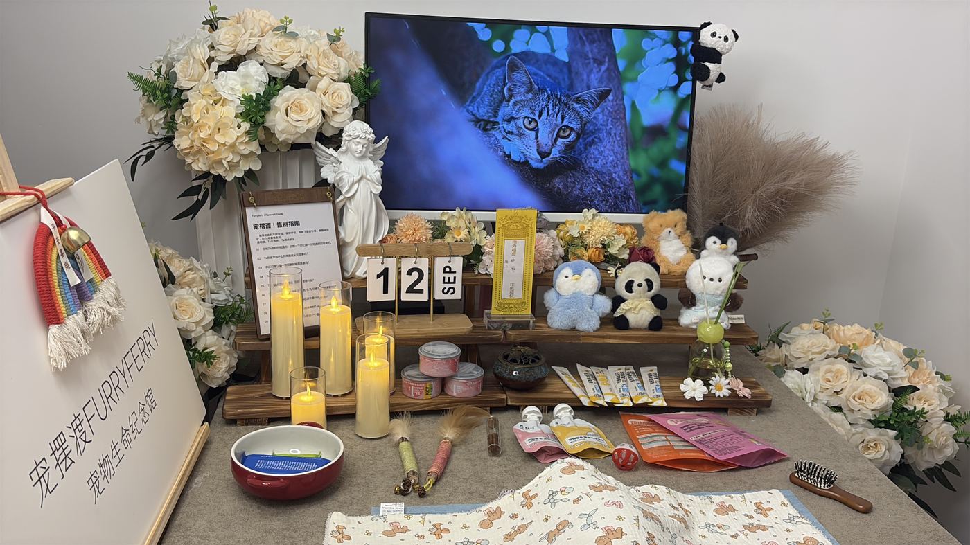 最后这段时间可以做什么